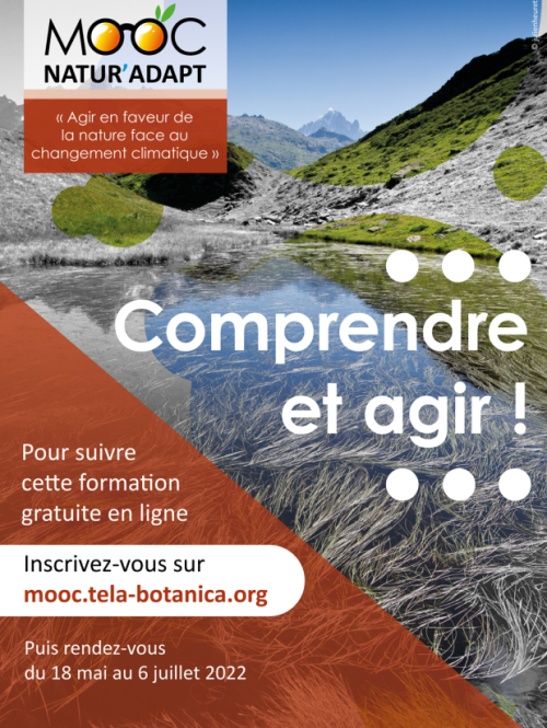 mooc.png