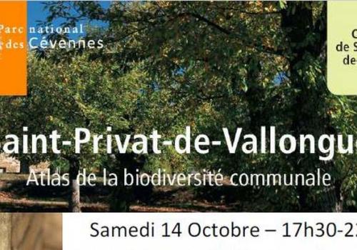 820_affiche_abc_st_privat_14_octobre_2017.jpg