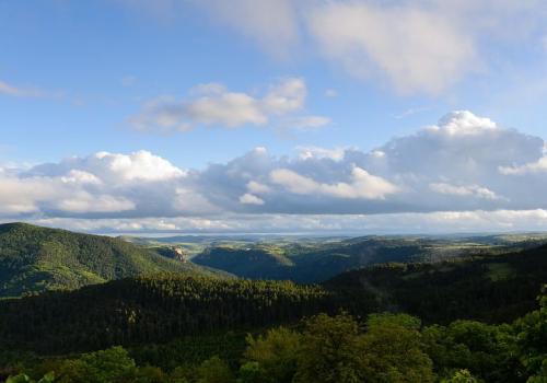foret-domaniale-de-laigoual.jpg.800x800_q85_watermark-d41d8cd98f00b204e9800998ecf8427e.jpg