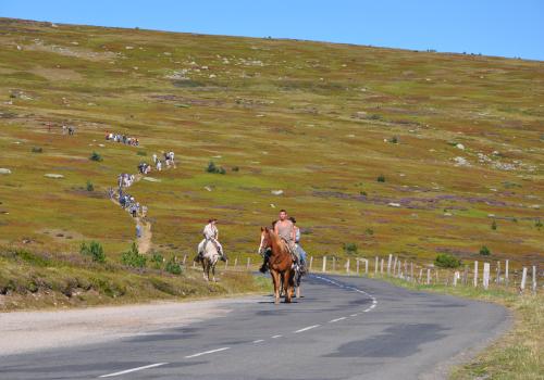 randonneurs_sur_le_mont-lozere_-_credit_photo_catherine_vambairgue.jpg