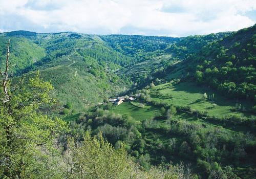 versant-nord-du-massif-de-laigoual.jpg.800x800_q85_watermark-d41d8cd98f00b204e9800998ecf8427e.jpg