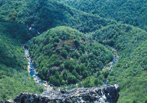 vue-aerienne-de-la-dourbie.jpg.800x800_q85_watermark-d41d8cd98f00b204e9800998ecf8427e.jpg