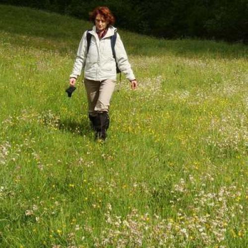 pvvagabondage_au_pays_des_plantes_-_vagabondage_-_azimut_voyage.jpg