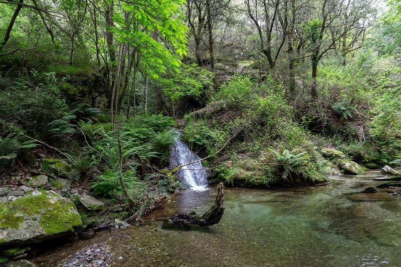 ruisseau cevennes