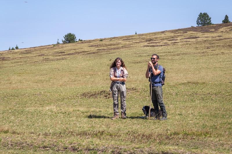 berger et saisonnier sur le mont lozere