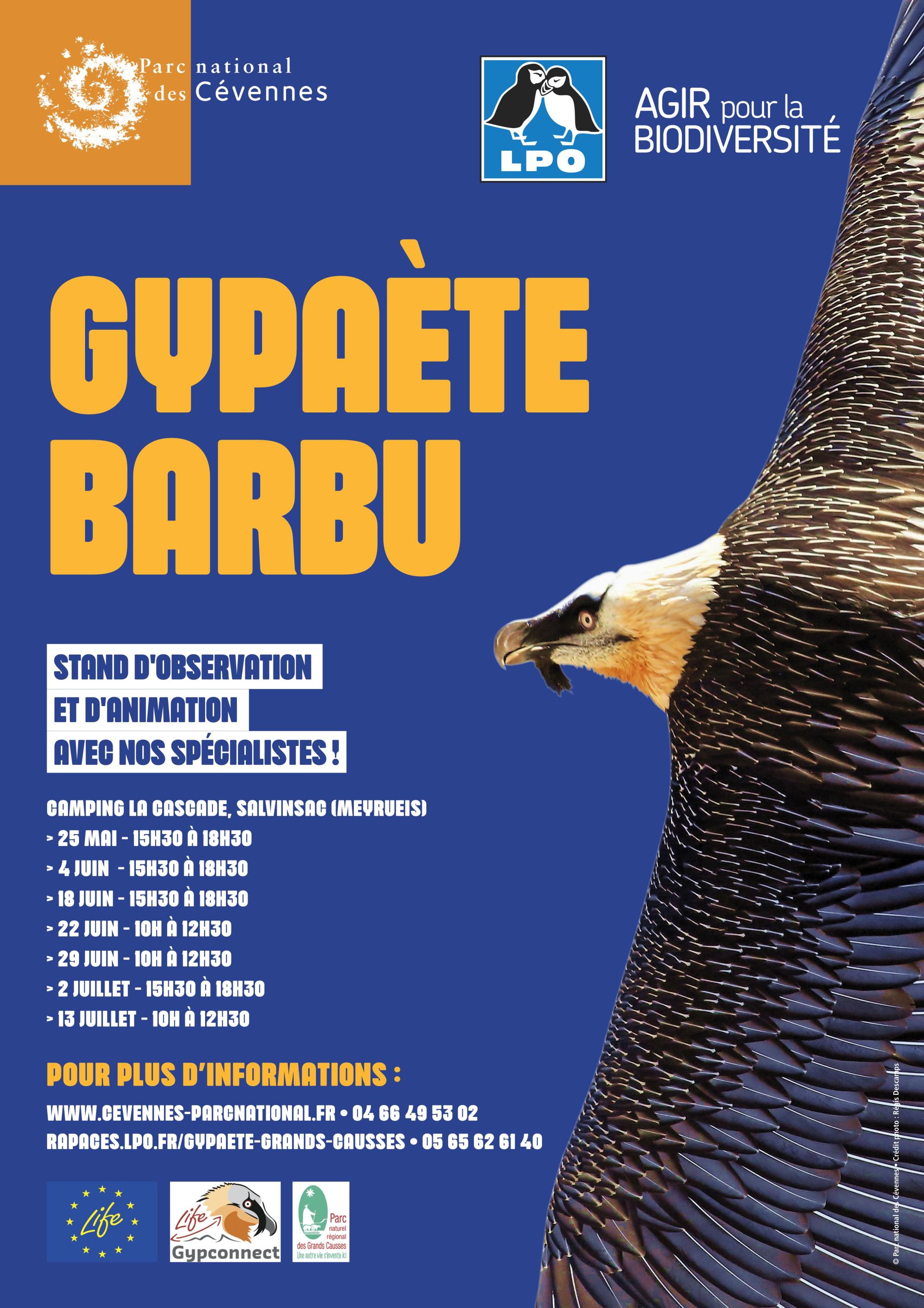 affiche_gypa_anims_22.jpg