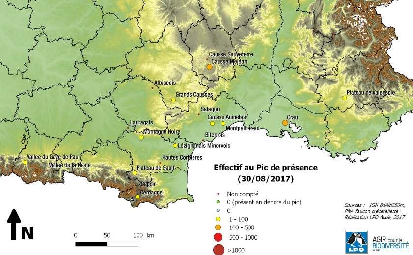 carte_dortoirs_faucon_crecerellette