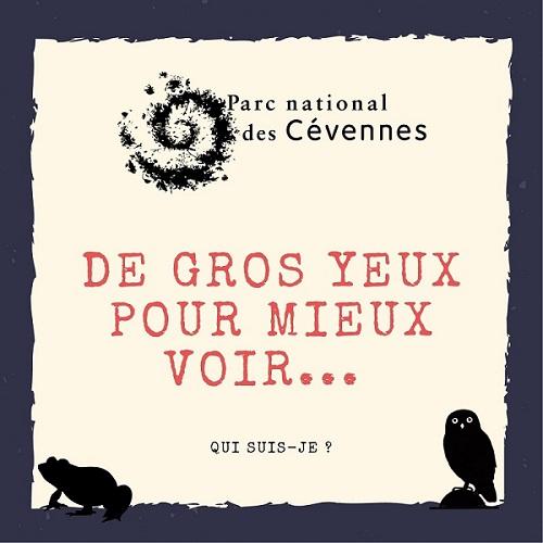 feuille_de_route_2.jpg
