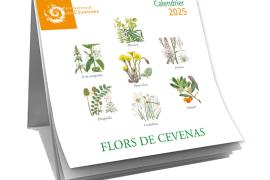 Cevenas