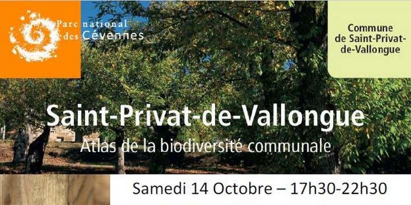 820_affiche_abc_st_privat_14_octobre_2017.jpg