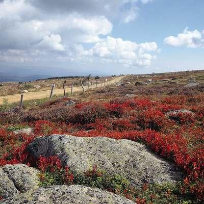 vignette_journee_causses_cevennes_c_alain_lagrave.jpg